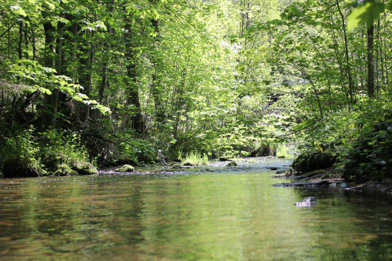 the water is almost as clear as any other source of it