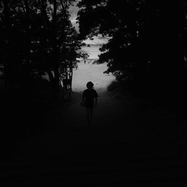 a person walking down a dark alley through a forest