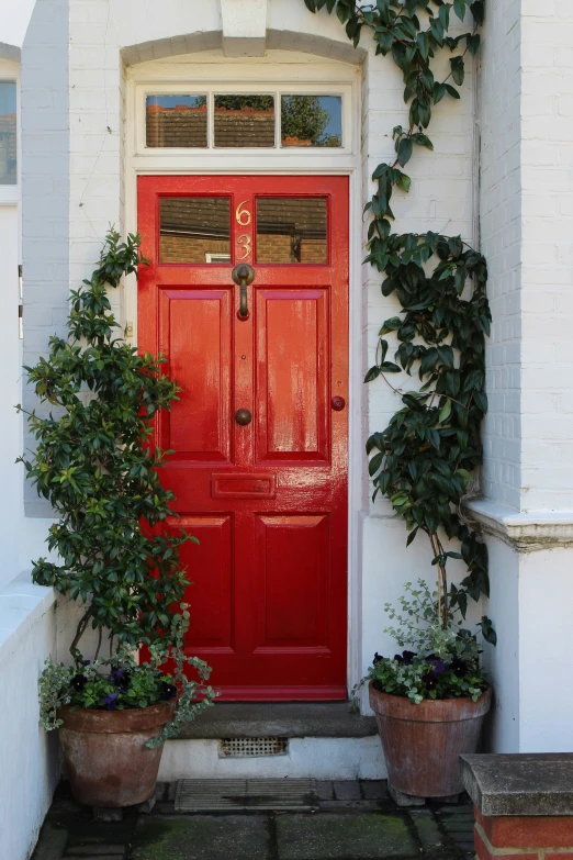 a red door and some plants in front of it