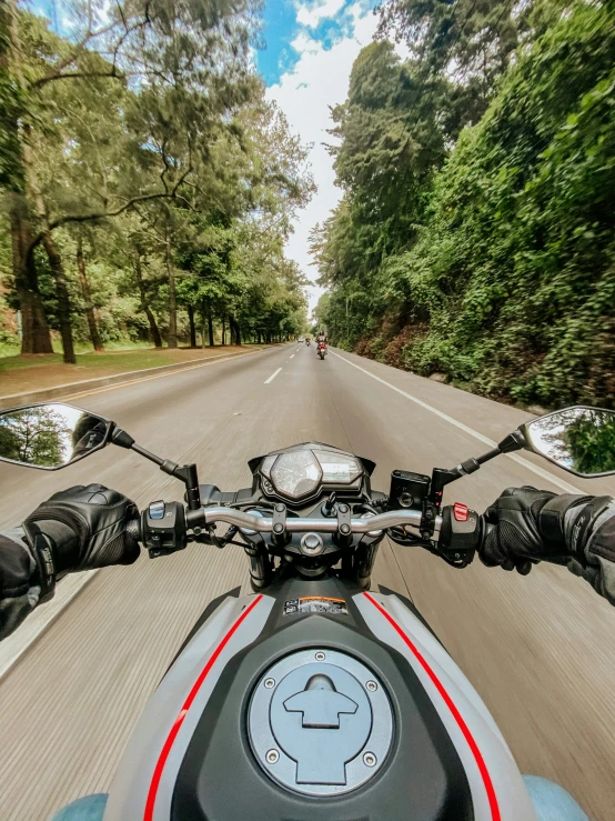 the view of a motorcycle from behind it driving on a road with trees