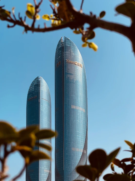 two tall skyscrs towering through the trees