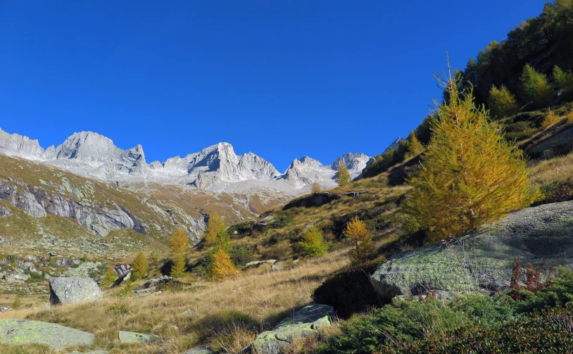 view of some big mountains from a very small hill