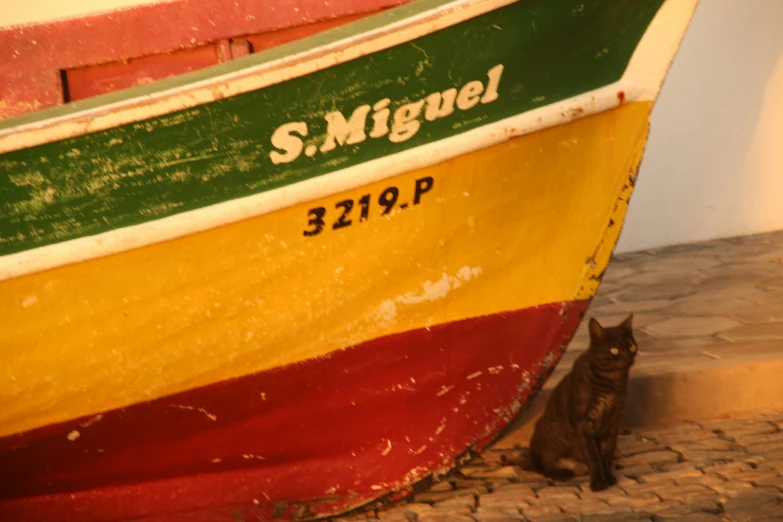 a cat sitting on the ground by a colorful boat