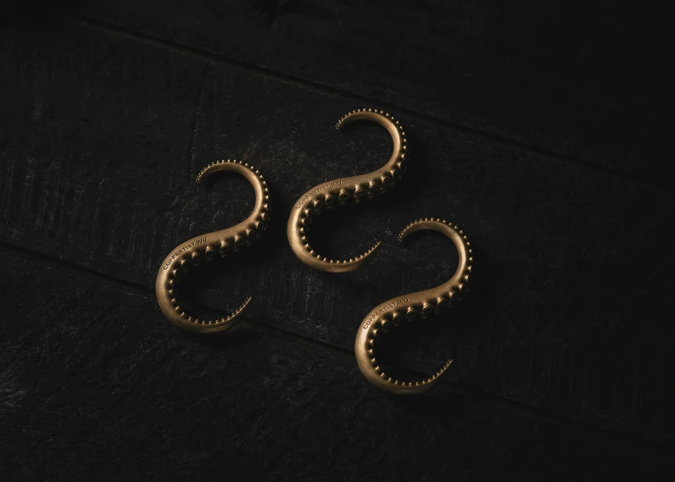 a pair of gold - plated ear pins with wavy designs