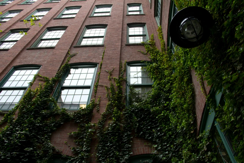 large building with ivy growing on it and a street light