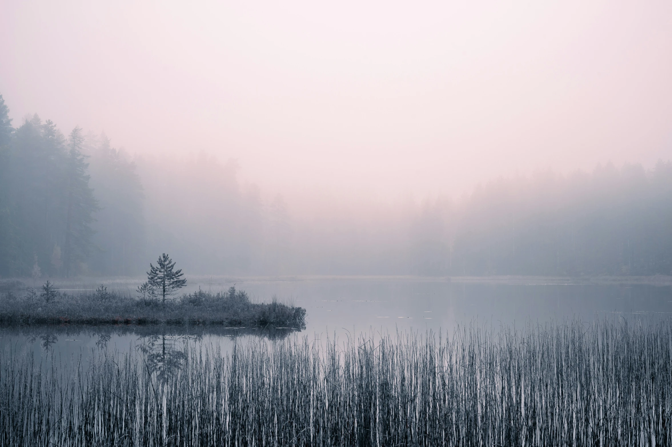 misty lake on foggy day with small island in the middle