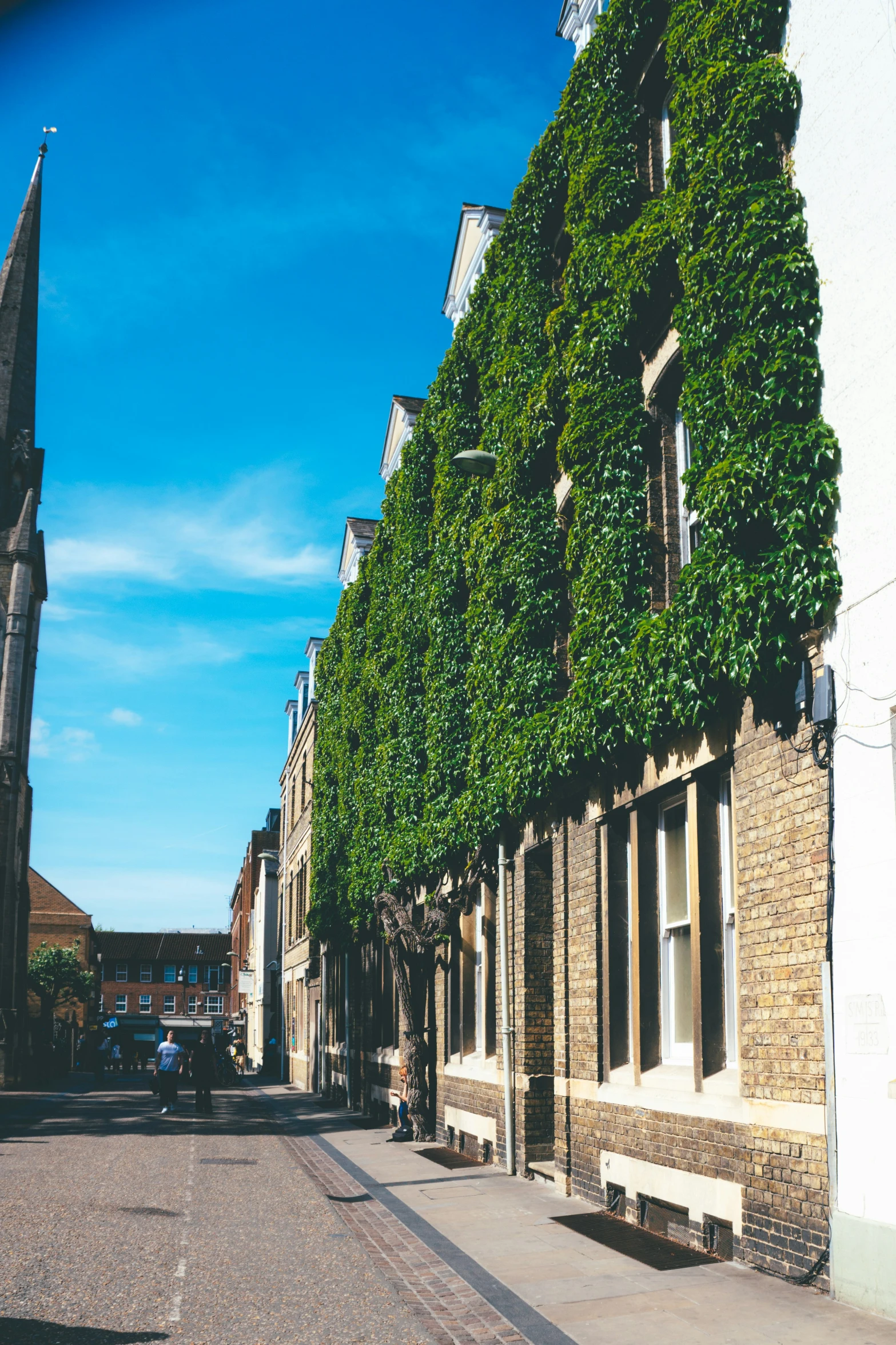 the street in the city has many ivy growing on its buildings