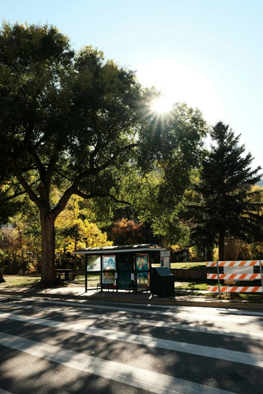 a street with barricades on both sides and sun shining brightly through the trees