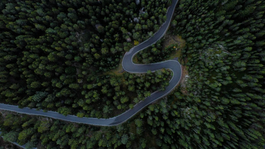 aerial view of a winding road surrounded by pine trees