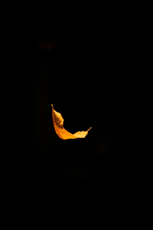 some kind of fruit hanging from a string