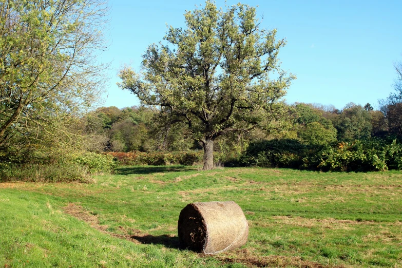 there is a huge round hay bail in a field