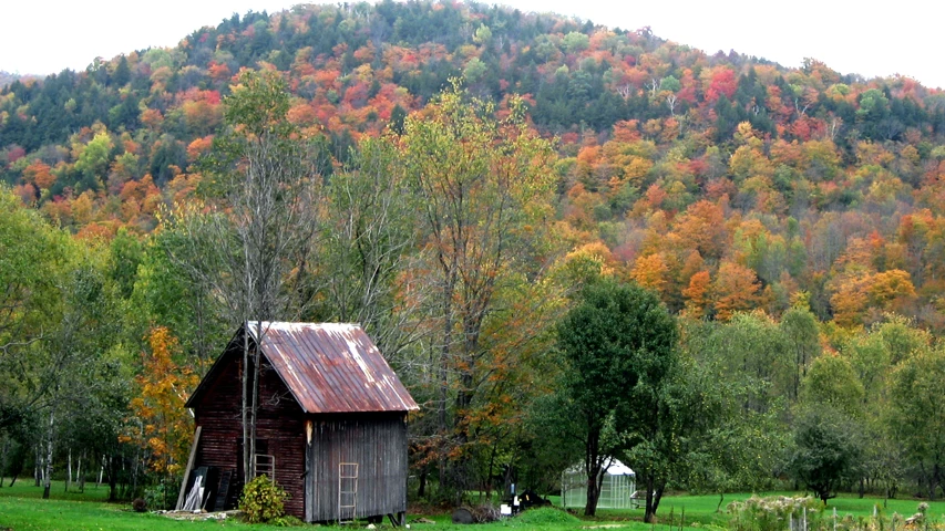 an old barn on a farm with autumn colors