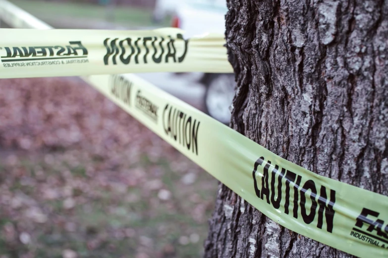 yellow caution tape is taped to the side of a tree