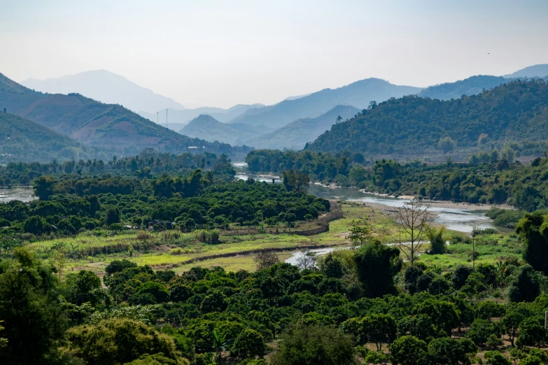 a river runs through a mountainous area with many trees