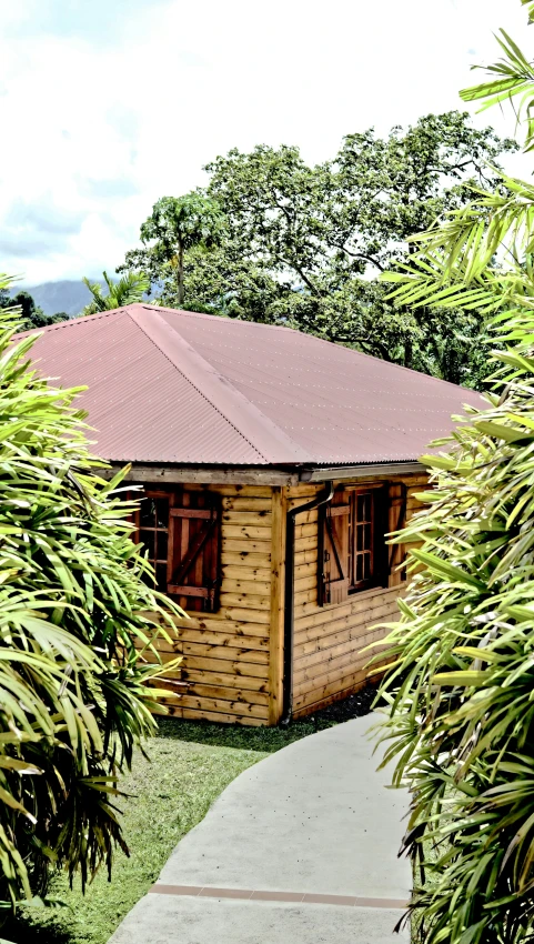 a small wooden hut nestled among trees in a lush jungle