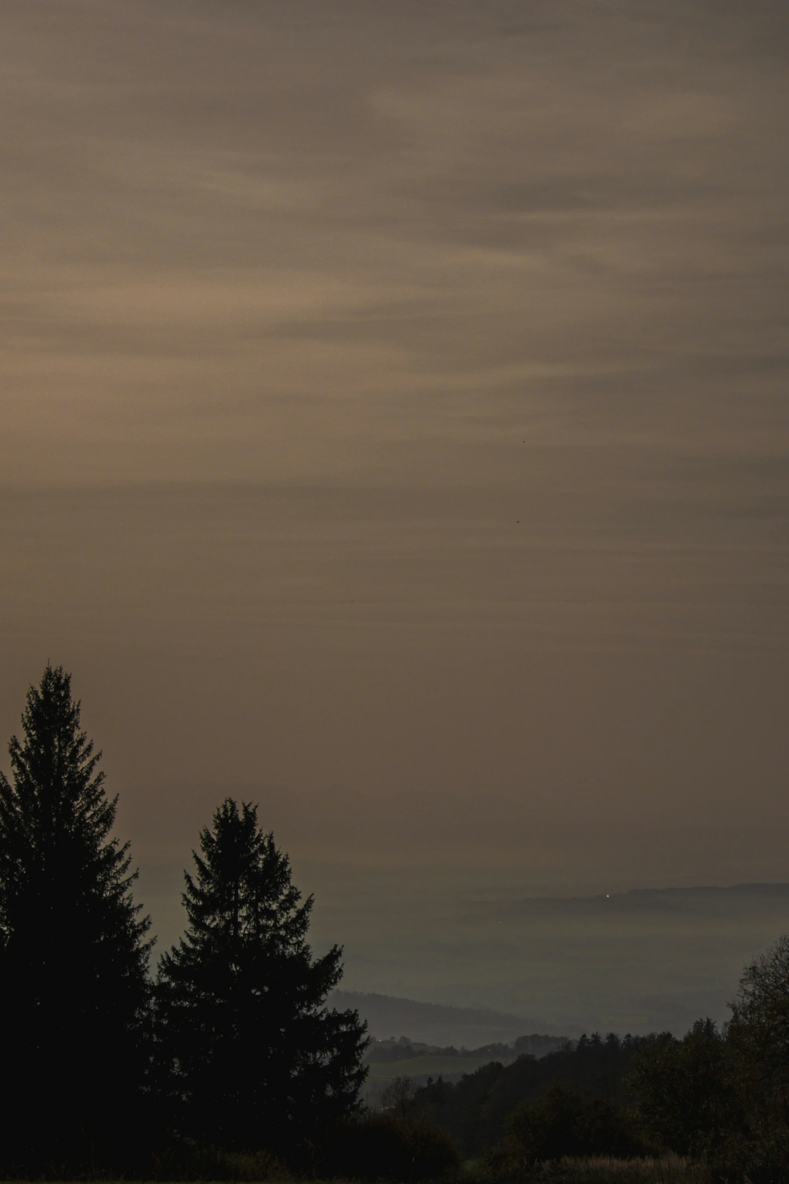 tree line with distant distant mountains in background