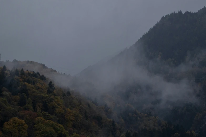 a plane is flying over a forested area