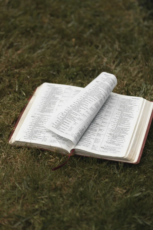 open book lying on the ground in the grass