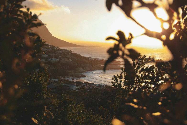 a view of an ocean from behind trees