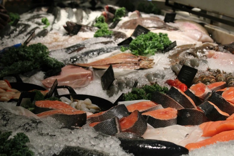 seafood are in the ice with a large amount