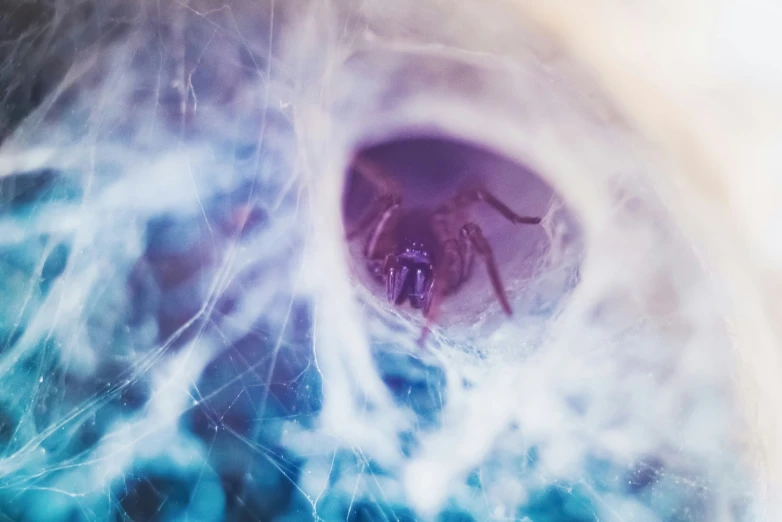 the iris of a human eye with blue and white swirls