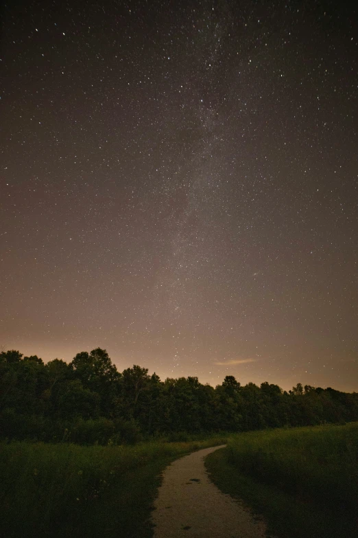 a trail under a clear night sky full of stars