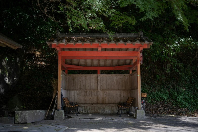 a small shrine in the woods in the day