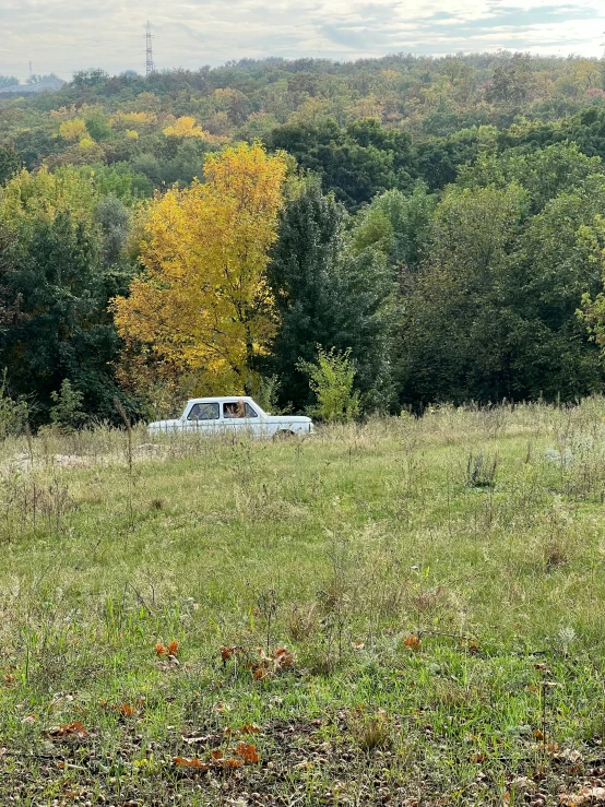 the car is parked in the pasture by itself