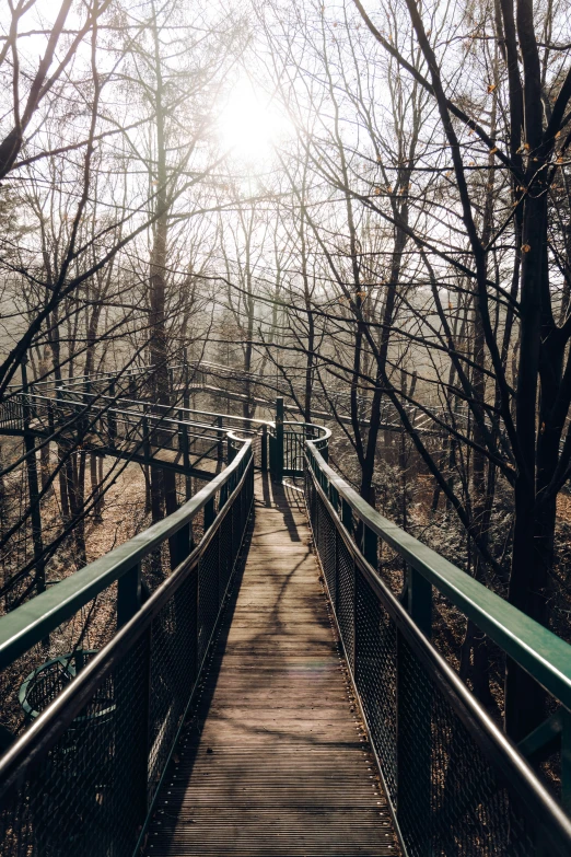 a view of a bridge with trees in the background