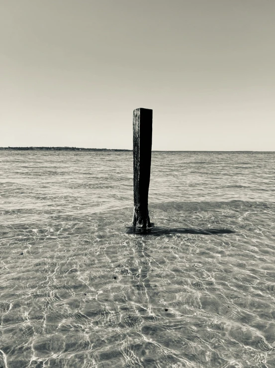 the wooden structure looks like a tree that extends out from the water