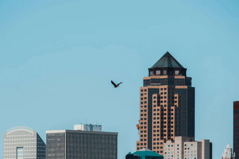 a very tall building with a big bird flying over it