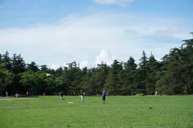 a group of people that are standing in the grass