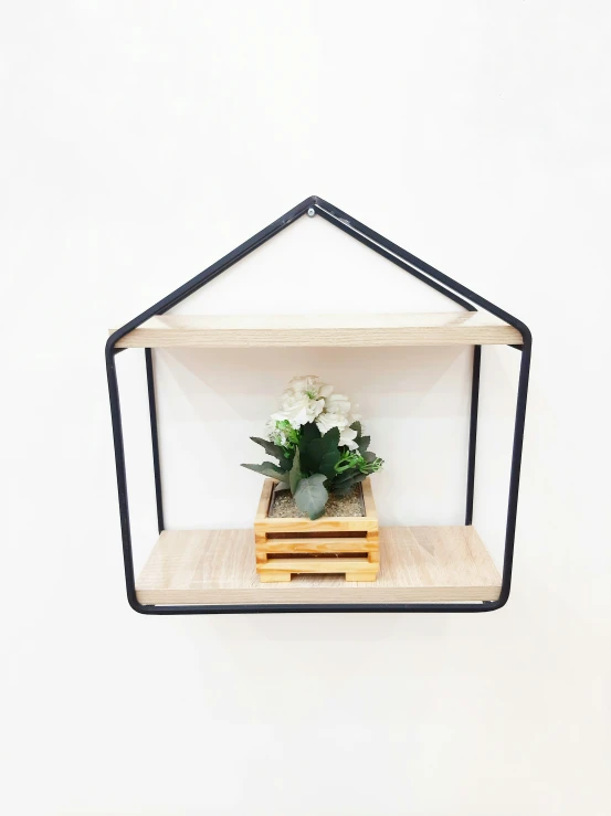 a white wall with a potted plant on wooden shelves