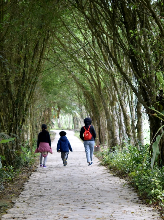 two women and a  walking down the pathway under trees