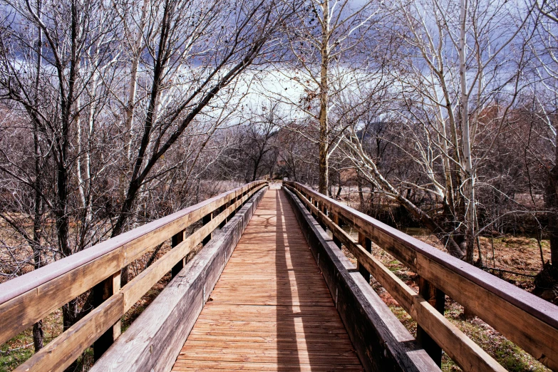 a small wooden bridge across a grassy field