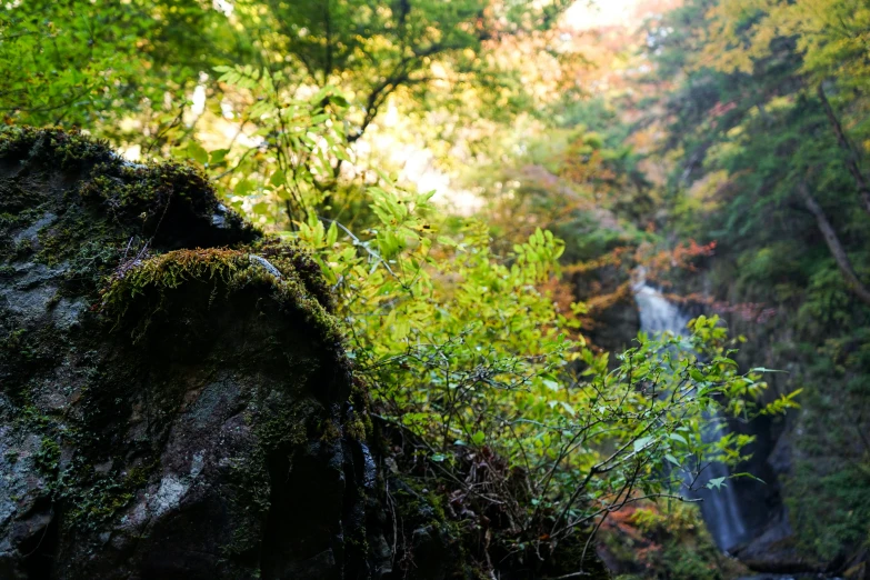 the waterfall has mossy rocks on it in the forest