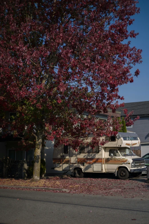 an rv is parked next to the tree near the house