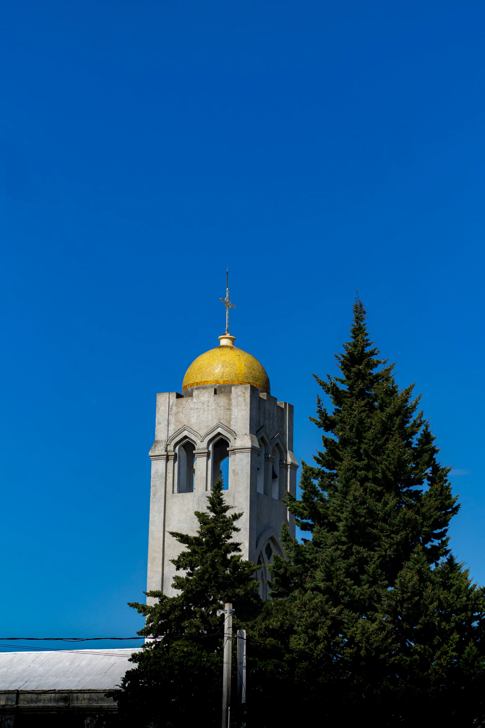 a tall building sitting between two tall trees