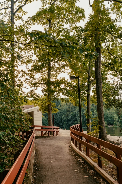 path to camping area surrounded by trees near water