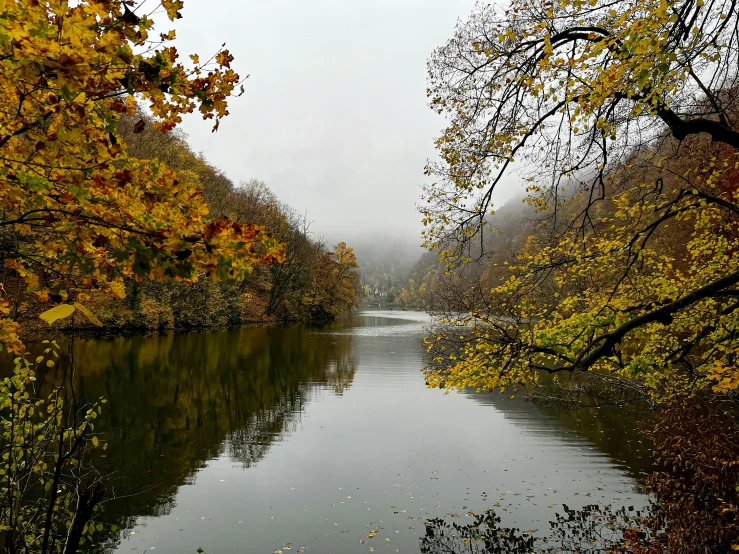 the river is calm and quiet in autumn