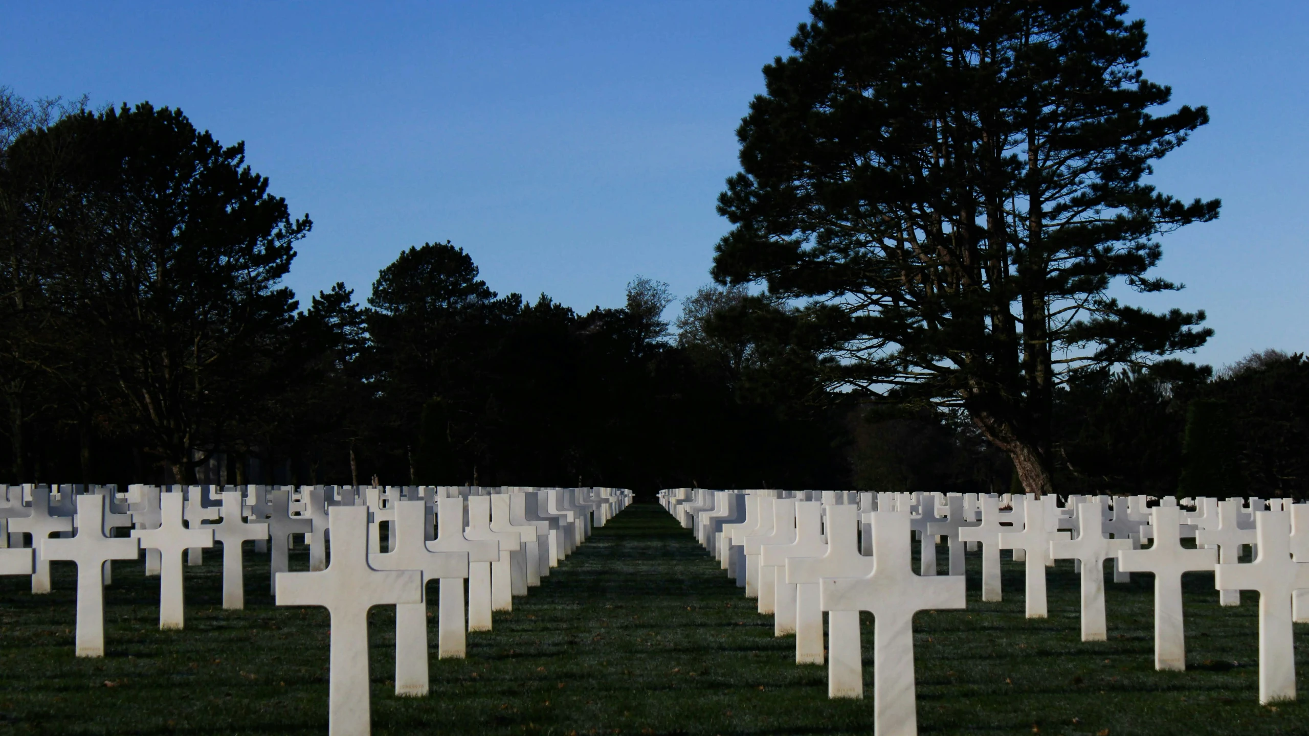 many white crosses are lined up in a field