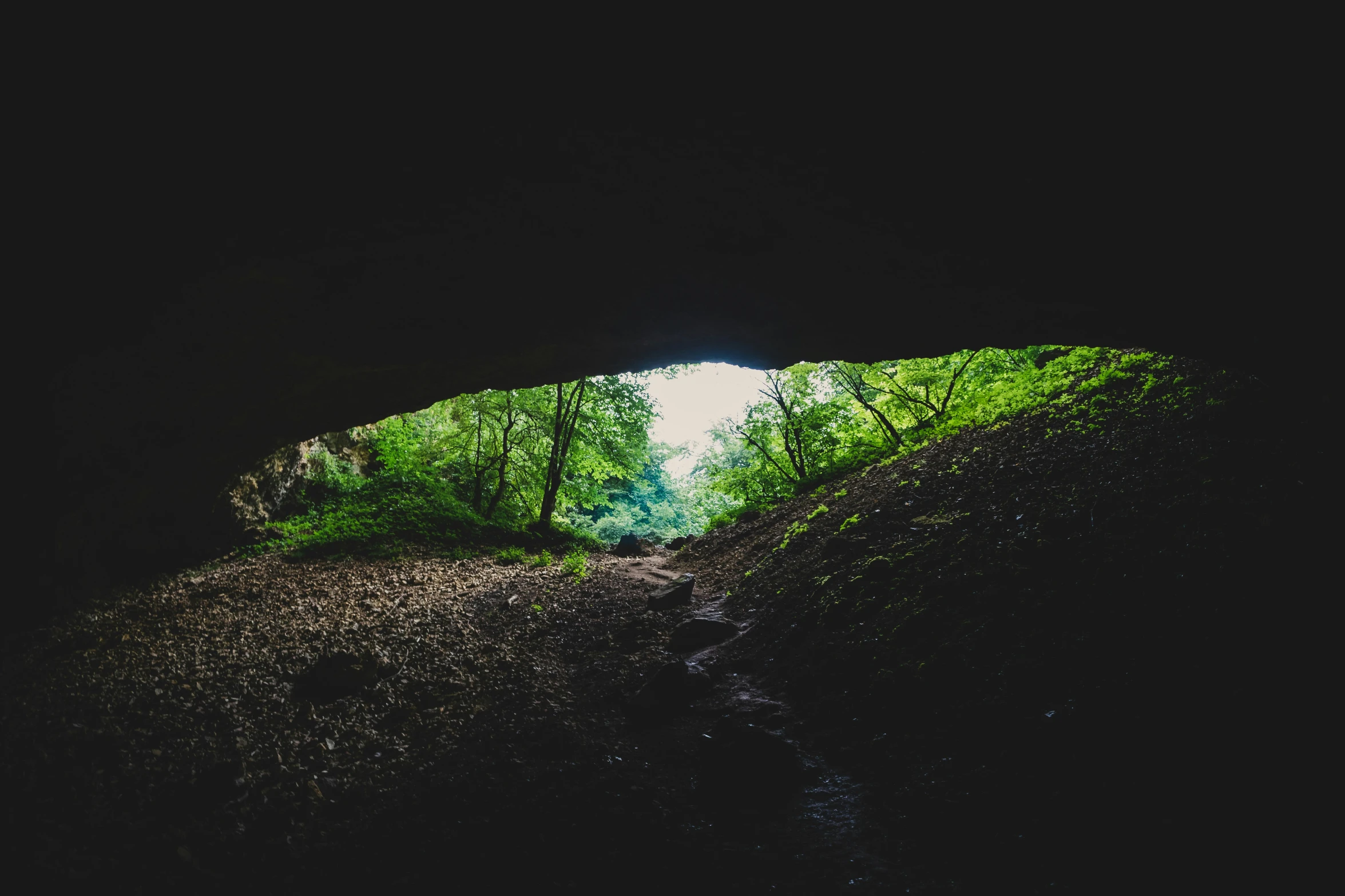 a tunnel in the middle of some woods