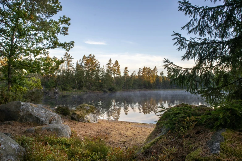 a pond with a forest surrounding and rocks on the shore