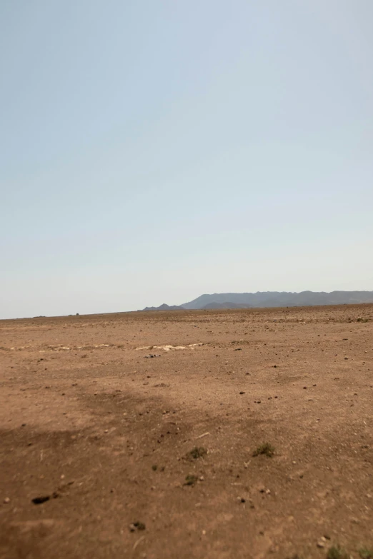 a lone giraffe standing in a large barren field