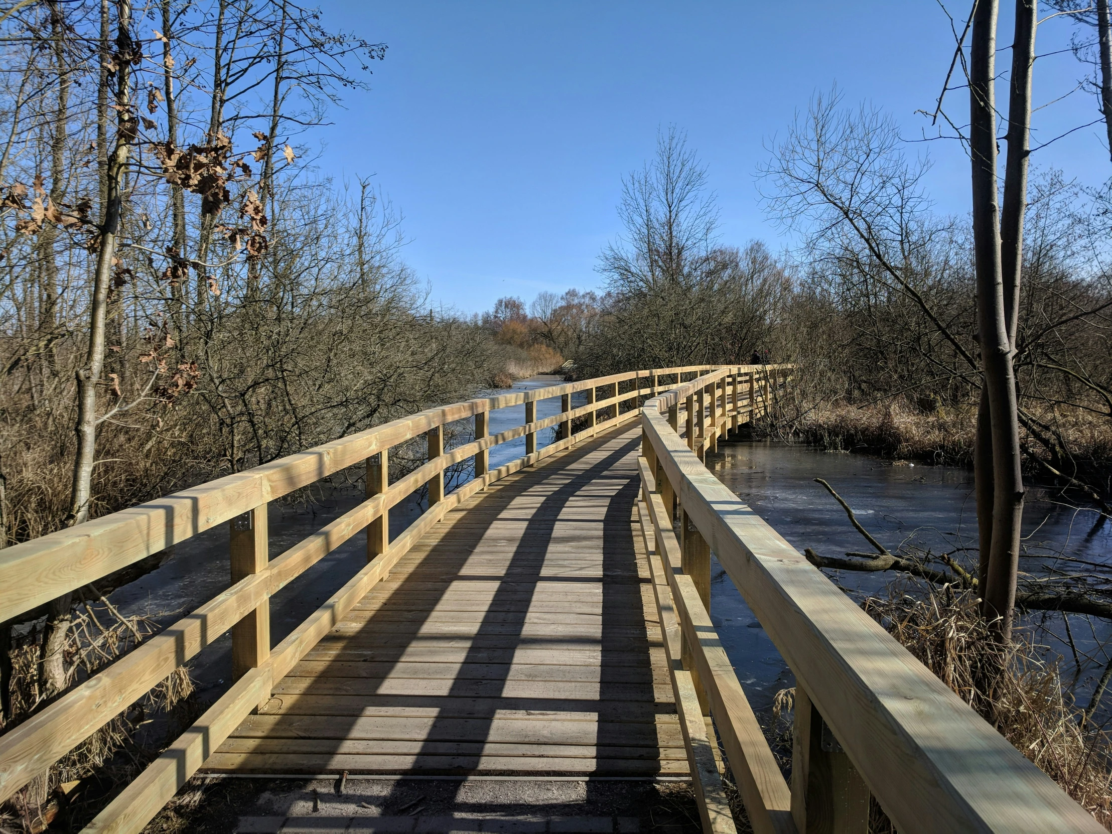 a small wooden bridge in the woods with water