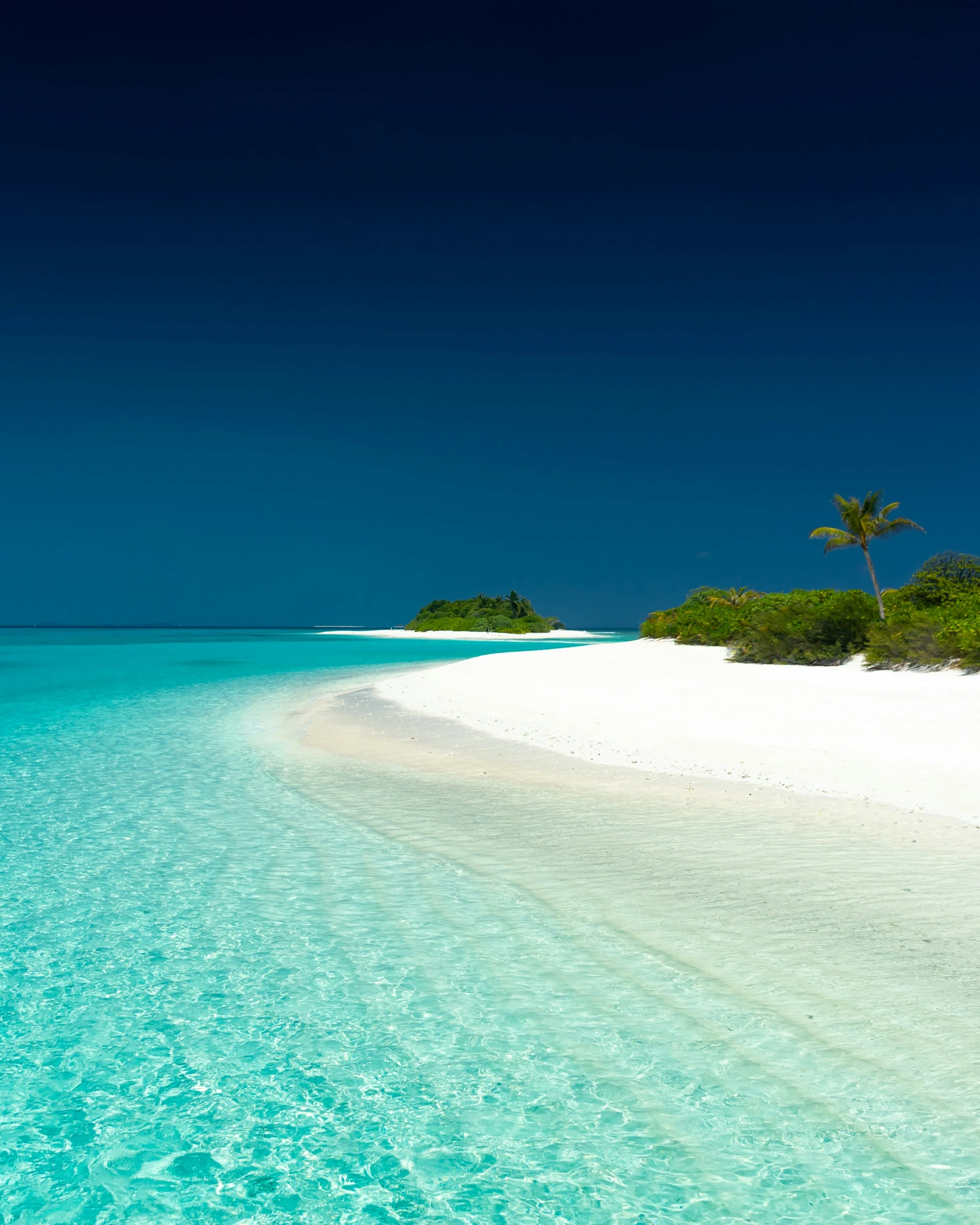 a beach with some clear blue water next to trees