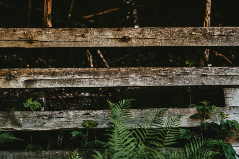 a wooden fence is surrounded by plants and trees