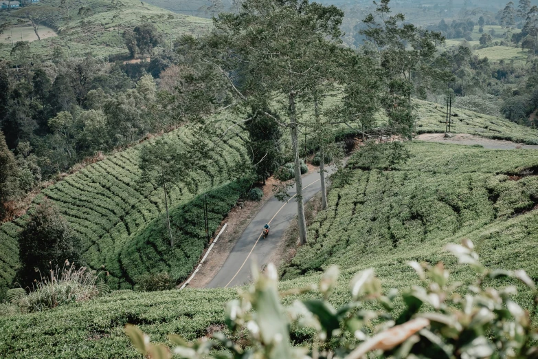 two people riding their bikes down a curvy road