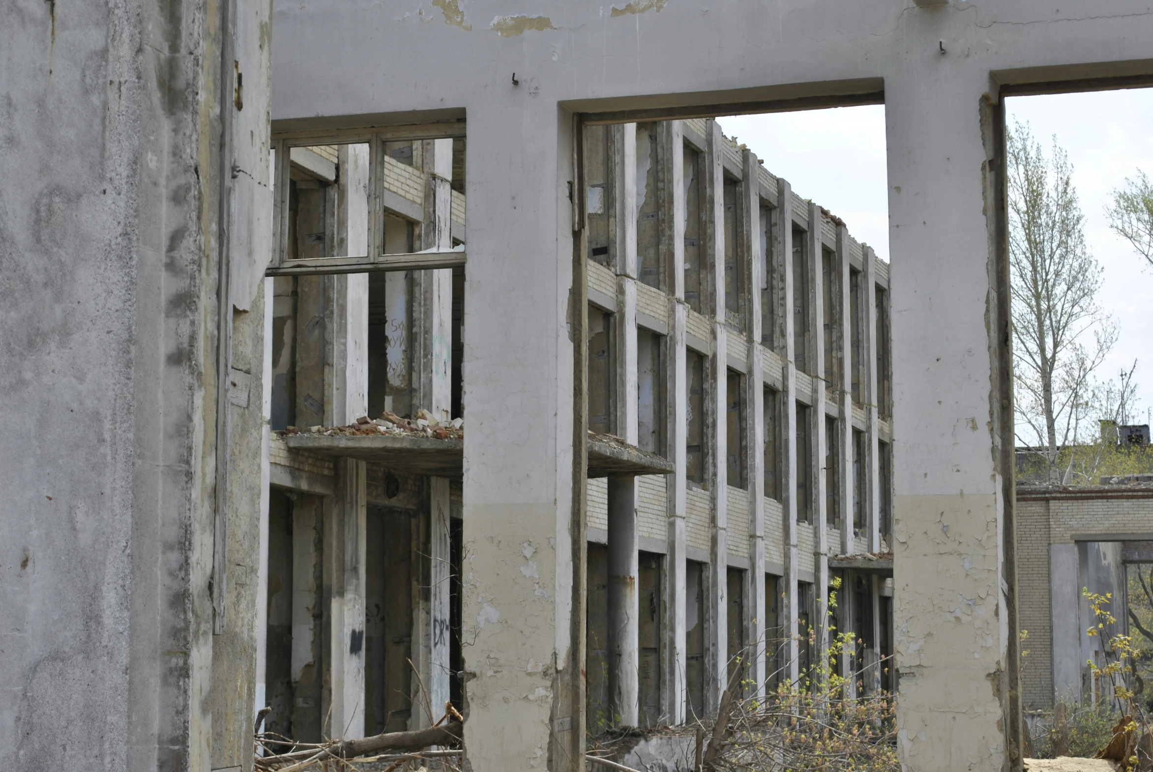 several windows on a building next to a tree