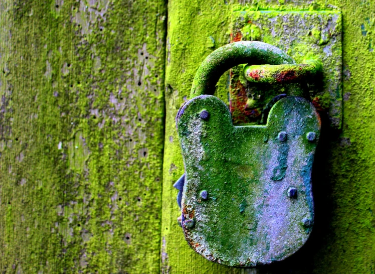 an old rusty padlock mounted on a green door
